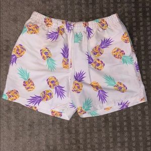Men’s Chubbies Swim Trunks